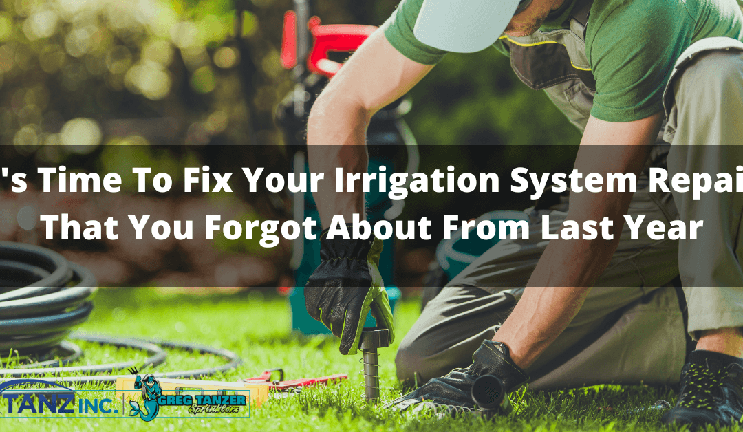 It ‘s Time To Fix Your Irrigation System Repairs That You Forgot About From Last Year